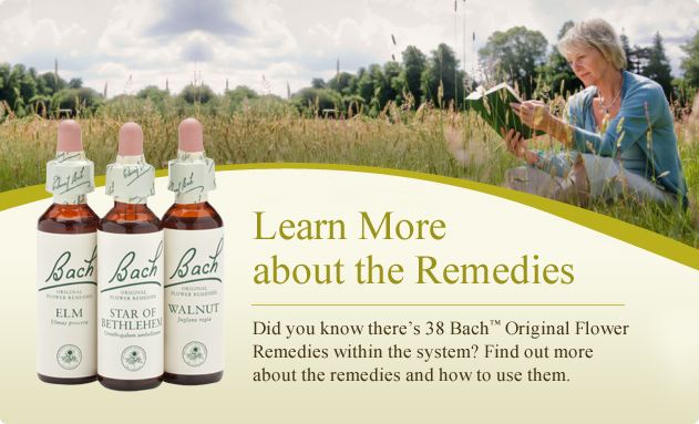 BachFlowerRemedy